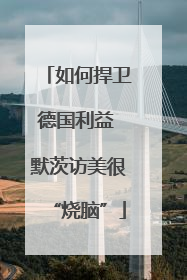 如何捍卫德国利益 默茨访美很“烧脑”