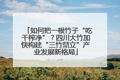 如何把一根竹子“吃干榨净”？四川大竹加快构建“三竹鼎立”产业发展新格局