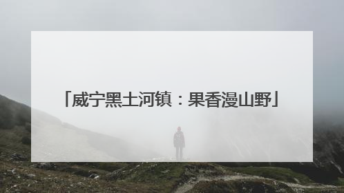 威宁黑土河镇：果香漫山野