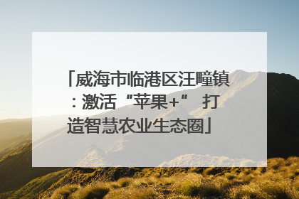 威海市临港区汪疃镇：激活“苹果+” 打造智慧农业生态圈