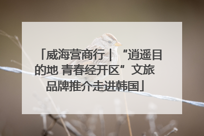 威海营商行｜“逍遥目的地 青春经开区”文旅品牌推介走进韩国