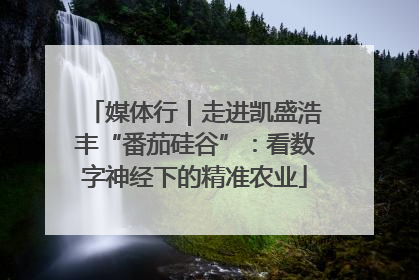媒体行｜走进凯盛浩丰“番茄硅谷”：看数字神经下的精准农业
