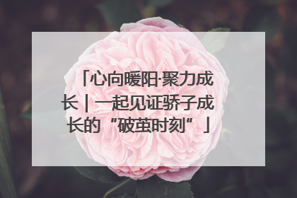 心向暖阳·聚力成长｜一起见证骄子成长的“破茧时刻”
