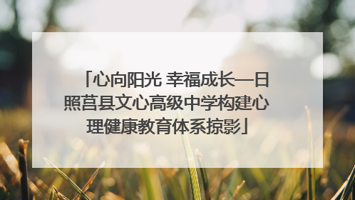心向阳光 幸福成长—日照莒县文心高级中学构建心理健康教育体系掠影