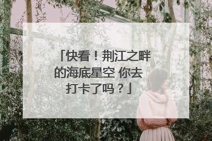 快看！荆江之畔的海底星空 你去打卡了吗？