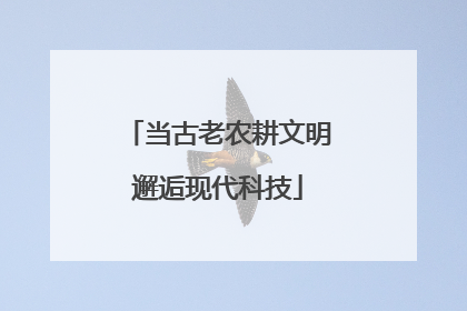 当古老农耕文明邂逅现代科技