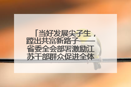 当好发展尖子生，蹚出共富新路子——省委全会部署激励江苏干部群众促进全体人民共同富裕