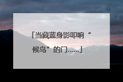 当藏蓝身影叩响“候鸟”的门……