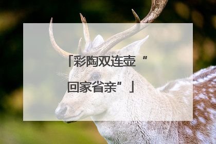 彩陶双连壶“回家省亲”
