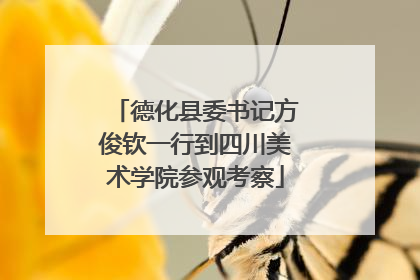 德化县委书记方俊钦一行到四川美术学院参观考察