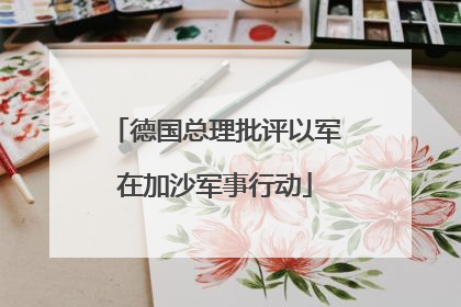 德国总理批评以军在加沙军事行动