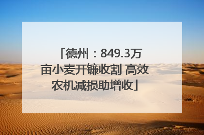 德州：849.3万亩小麦开镰收割 高效农机减损助增收