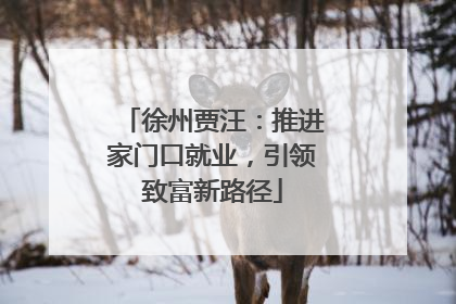 徐州贾汪：推进家门口就业，引领致富新路径