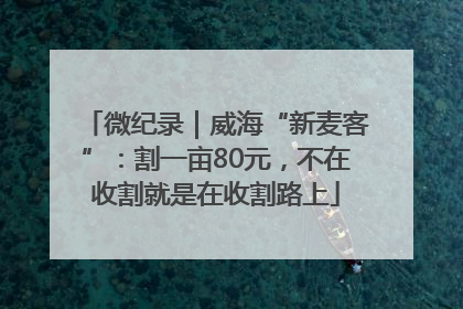微纪录｜威海“新麦客”：割一亩80元，不在收割就是在收割路上