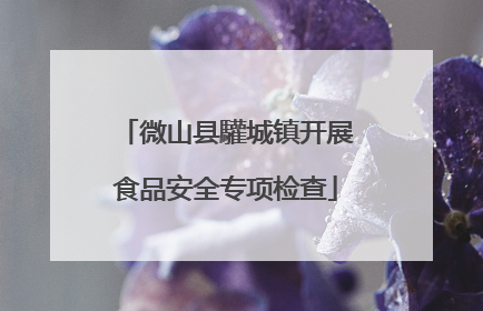 微山县驩城镇开展食品安全专项检查