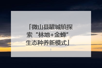 微山县驩城镇探索“林地+金蝉”生态种养新模式