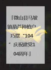 微山县马坡镇葫芦种植户巧摆“104”庆祝建党104周年