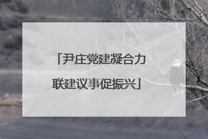 尹庄党建凝合力 联建议事促振兴