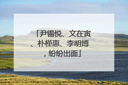 尹锡悦、文在寅、朴槿惠、李明博，纷纷出面