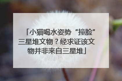小猫喝水姿势“撞脸”三星堆文物？经求证该文物并非来自三星堆