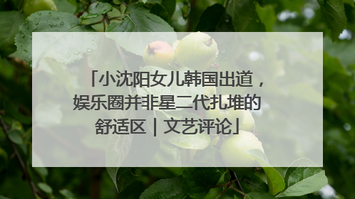 小沈阳女儿韩国出道，娱乐圈并非星二代扎堆的舒适区｜文艺评论