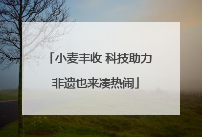 小麦丰收 科技助力 非遗也来凑热闹