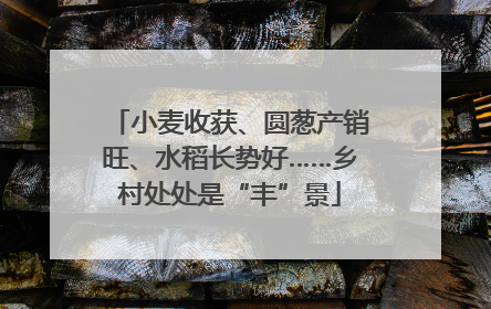 小麦收获、圆葱产销旺、水稻长势好……乡村处处是“丰”景