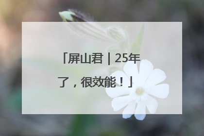 屏山君｜25年了，很效能！