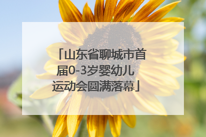 山东省聊城市首届0-3岁婴幼儿运动会圆满落幕