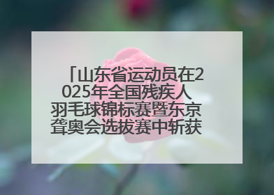 山东省运动员在2025年全国残疾人羽毛球锦标赛暨东京聋奥会选拔赛中斩获3银1铜