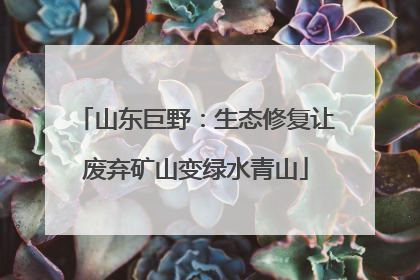 山东巨野：生态修复让废弃矿山变绿水青山