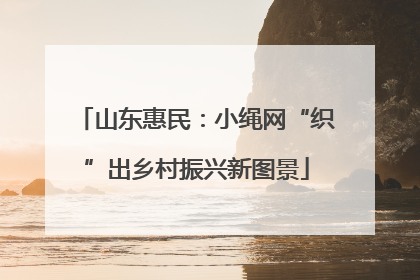 山东惠民：小绳网“织”出乡村振兴新图景