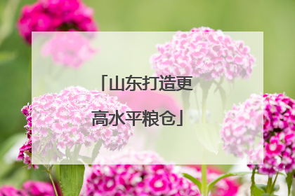 山东打造更高水平粮仓
