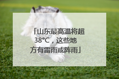 山东最高温将超38°C，这些地方有雷雨或阵雨