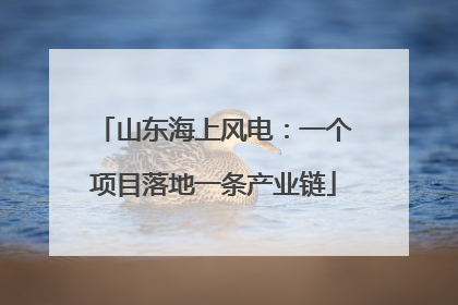 山东海上风电：一个项目落地一条产业链