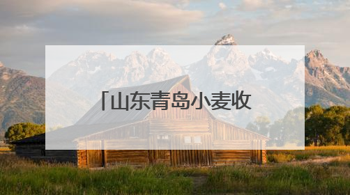 山东青岛小麦收获作业全面展开