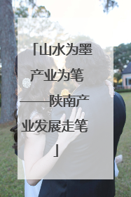 山水为墨 产业为笔——陕南产业发展走笔