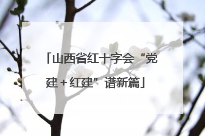 山西省红十字会“党建＋红建”谱新篇