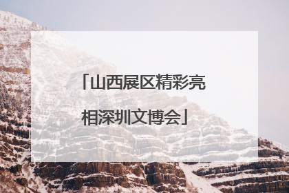 山西展区精彩亮相深圳文博会