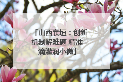 山西襄垣：创新机制解难题 精准滴灌润小微