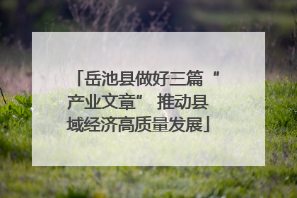 岳池县做好三篇“产业文章” 推动县域经济高质量发展