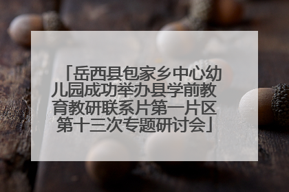 岳西县包家乡中心幼儿园成功举办县学前教育教研联系片第一片区第十三次专题研讨会