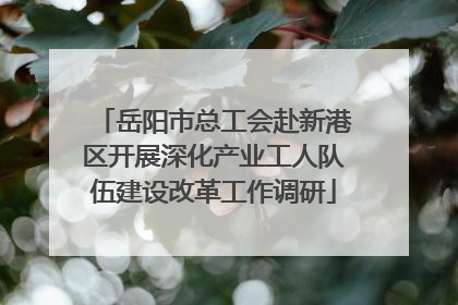 岳阳市总工会赴新港区开展深化产业工人队伍建设改革工作调研