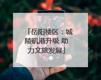 岳阳楼区：城陵矶港升级 助力文旅发展