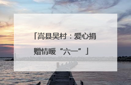 嵩县吴村：爱心捐赠情暖“六一”