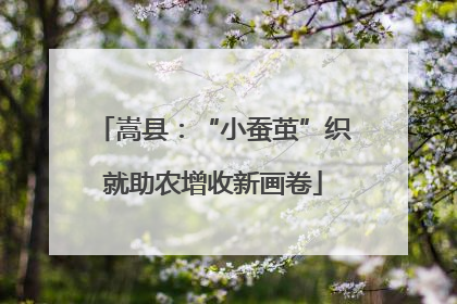嵩县：“小蚕茧”织就助农增收新画卷