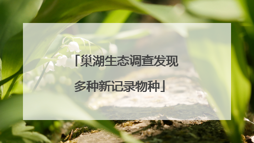 巢湖生态调查发现多种新记录物种