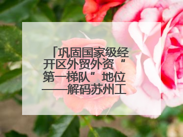 巩固国家级经开区外贸外资“第一梯队”地位——解码苏州工业园区样本