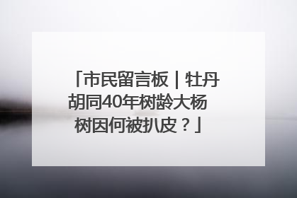 市民留言板｜牡丹胡同40年树龄大杨树因何被扒皮？