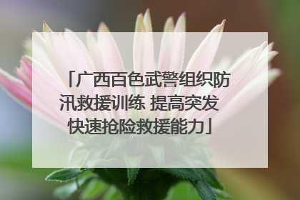 广西百色武警组织防汛救援训练 提高突发快速抢险救援能力